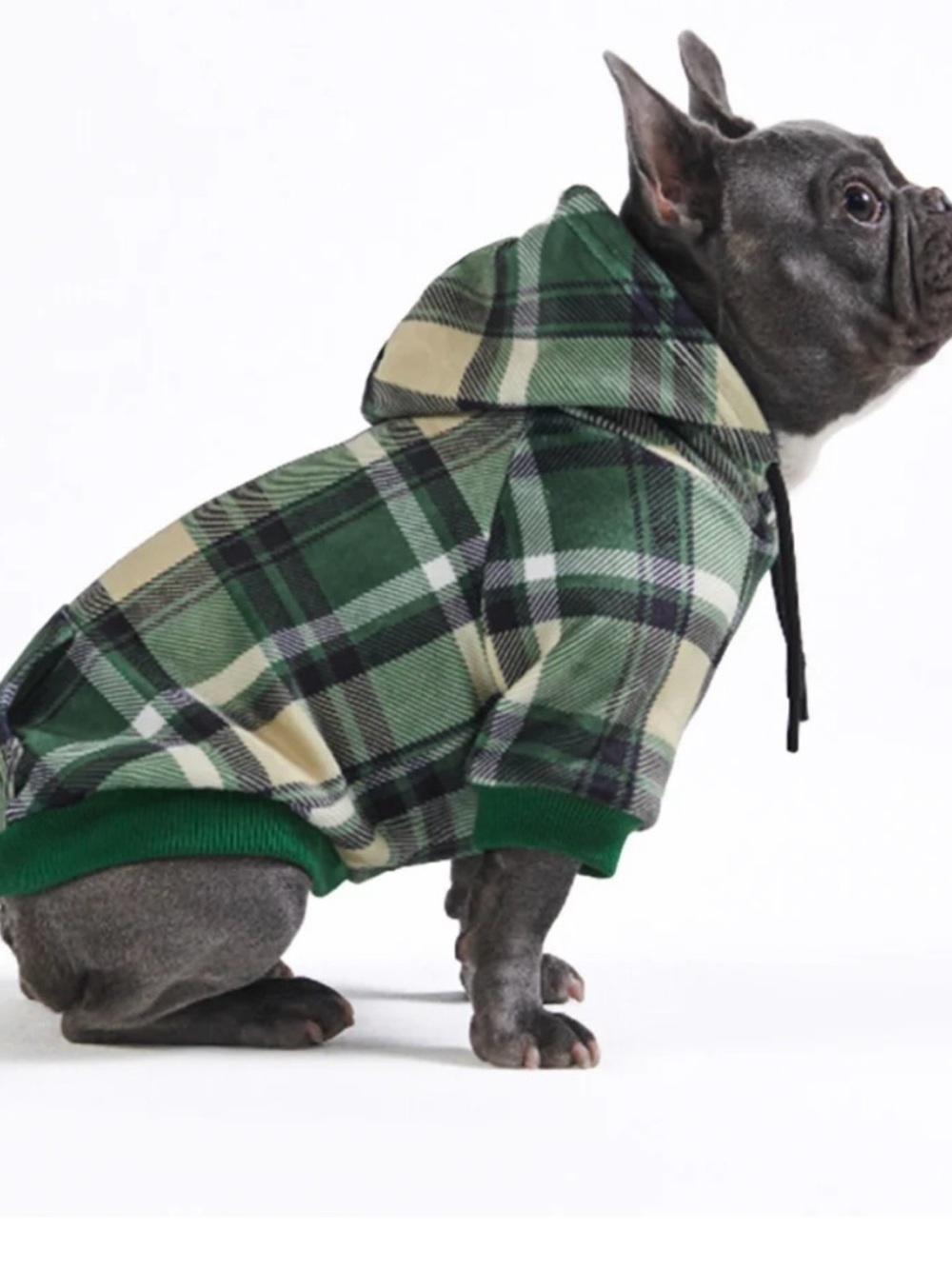 Spark Paws Green Plaid Dog Hoodie